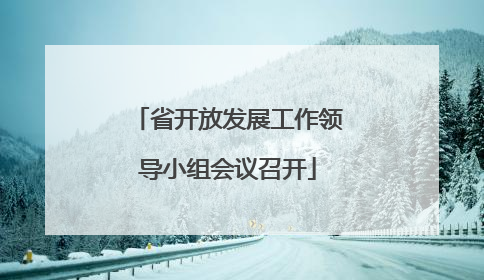 省开放发展工作领导小组会议召开