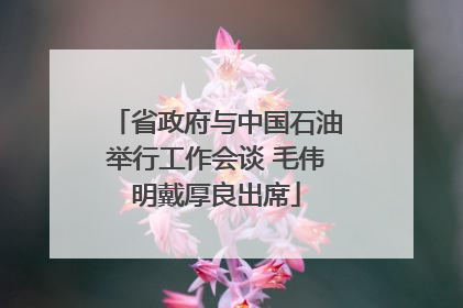 省政府与中国石油举行工作会谈 毛伟明戴厚良出席