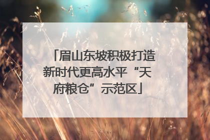 眉山东坡积极打造新时代更高水平“天府粮仓”示范区