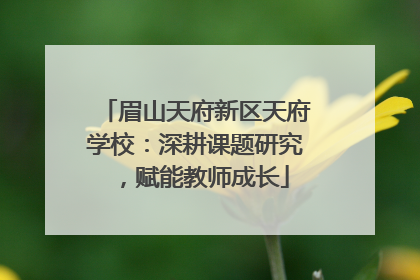 眉山天府新区天府学校：深耕课题研究，赋能教师成长