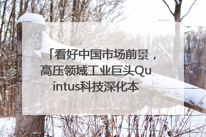 看好中国市场前景，高压领域工业巨头Quintus科技深化本土策略，构建全方位服务亚太区总部