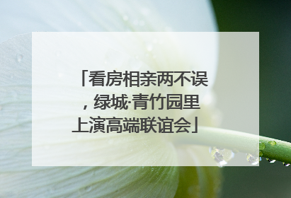 看房相亲两不误，绿城·青竹园里上演高端联谊会
