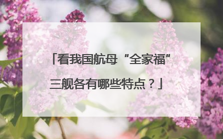 看我国航母“全家福” 三舰各有哪些特点？