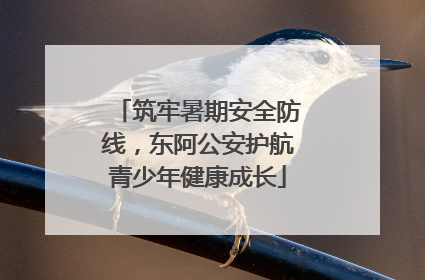 筑牢暑期安全防线，东阿公安护航青少年健康成长