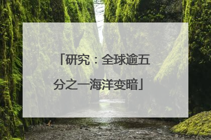 研究：全球逾五分之一海洋变暗