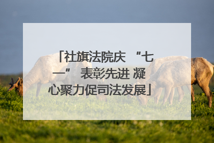 社旗法院庆 “七一” 表彰先进 凝心聚力促司法发展