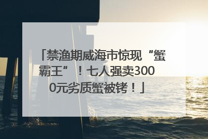 禁渔期威海市惊现“蟹霸王”！七人强卖3000元劣质蟹被铐！