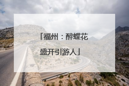 福州：醉蝶花盛开引游人
