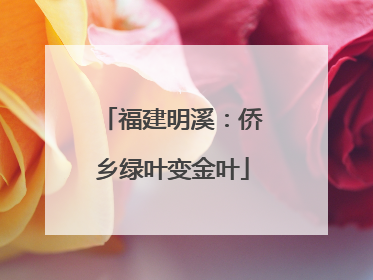福建明溪：侨乡绿叶变金叶