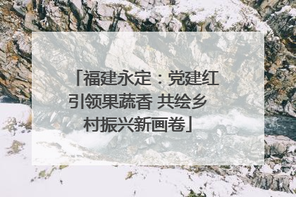 福建永定：党建红引领果蔬香 共绘乡村振兴新画卷