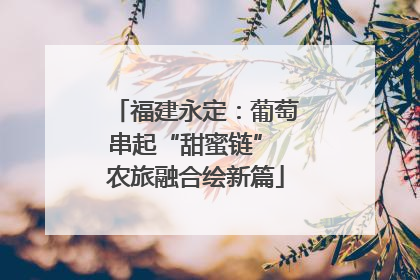 福建永定：葡萄串起“甜蜜链” 农旅融合绘新篇