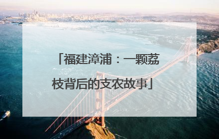 福建漳浦：一颗荔枝背后的支农故事