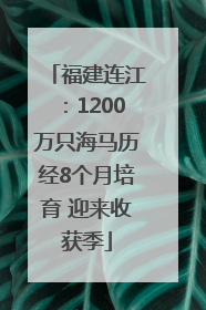 福建连江：1200万只海马历经8个月培育 迎来收获季
