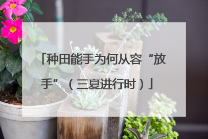 种田能手为何从容“放手”（三夏进行时）