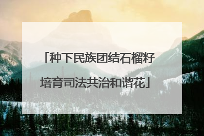 种下民族团结石榴籽 培育司法共治和谐花