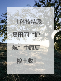科技特派员田间“护航”中原夏粮丰收