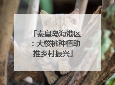 秦皇岛海港区：大樱桃种植助推乡村振兴