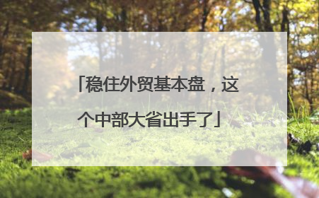 稳住外贸基本盘，这个中部大省出手了