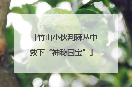 竹山小伙荆棘丛中救下“神秘国宝”