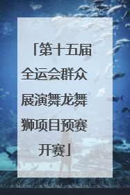 第十五届全运会群众展演舞龙舞狮项目预赛开赛