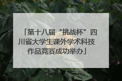 第十八届“挑战杯”四川省大学生课外学术科技作品竞赛成功举办