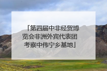 第四届中非经贸博览会非洲外宾代表团考察中伟宁乡基地