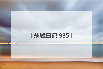 翁城日记 935