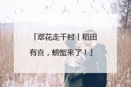 翠花走千村丨稻田有喜，螃蟹来了！