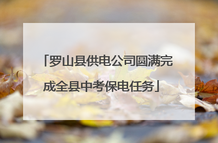 罗山县供电公司圆满完成全县中考保电任务