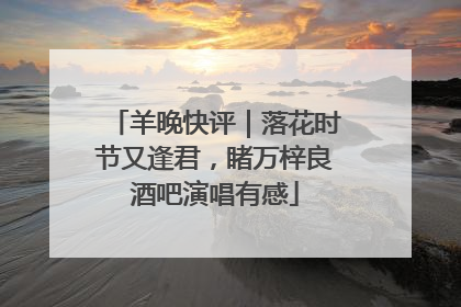 羊晚快评｜落花时节又逢君，睹万梓良酒吧演唱有感