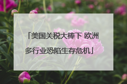 美国关税大棒下 欧洲多行业恐陷生存危机