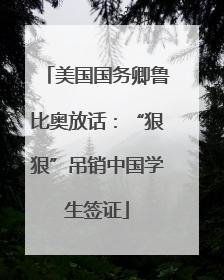 美国国务卿鲁比奥放话：“狠狠”吊销中国学生签证