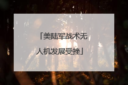 美陆军战术无人机发展受挫