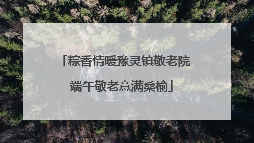 粽香情暖豫灵镇敬老院 端午敬老意满桑榆