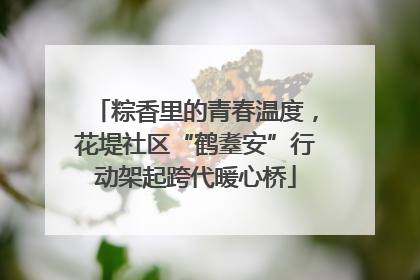粽香里的青春温度，花堤社区“鹤耋安”行动架起跨代暖心桥