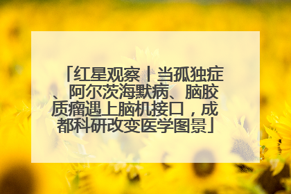 红星观察丨当孤独症、阿尔茨海默病、脑胶质瘤遇上脑机接口，成都科研改变医学图景