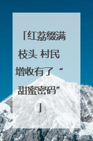 红荔缀满枝头 村民增收有了“甜蜜密码”