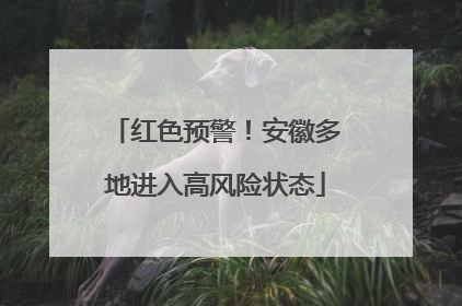 红色预警！安徽多地进入高风险状态
