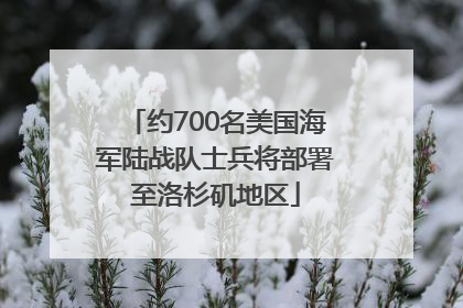 约700名美国海军陆战队士兵将部署至洛杉矶地区