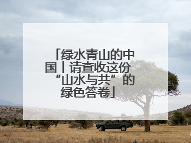 绿水青山的中国丨请查收这份“山水与共”的绿色答卷