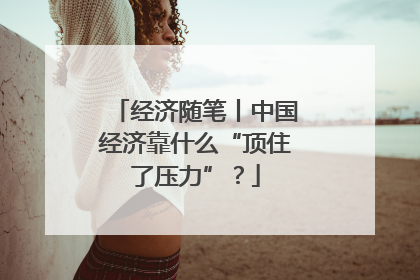 经济随笔丨中国经济靠什么“顶住了压力”？