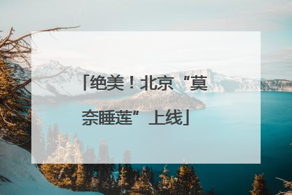 绝美！北京“莫奈睡莲”上线