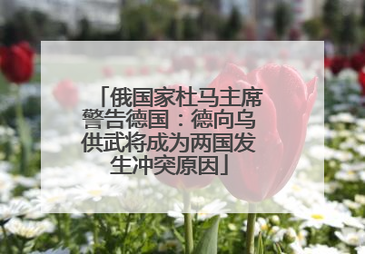 俄国家杜马主席警告德国：德向乌供武将成为两国发生冲突原因