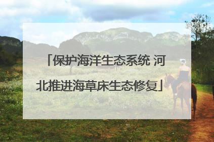 保护海洋生态系统 河北推进海草床生态修复