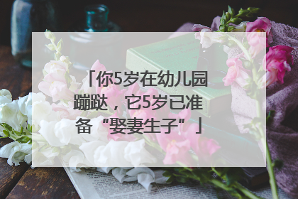你5岁在幼儿园蹦跶，它5岁已准备“娶妻生子”
