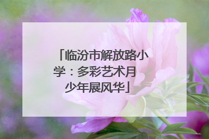 临汾市解放路小学：多彩艺术月 少年展风华