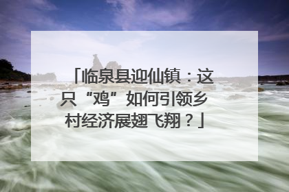 临泉县迎仙镇：这只“鸡”如何引领乡村经济展翅飞翔？