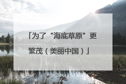 为了“海底草原”更繁茂（美丽中国）