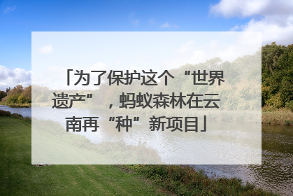 为了保护这个“世界遗产”，蚂蚁森林在云南再“种”新项目