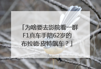 为啥要去影院看一群F1真车手陪62岁的布拉德·皮特飙车？